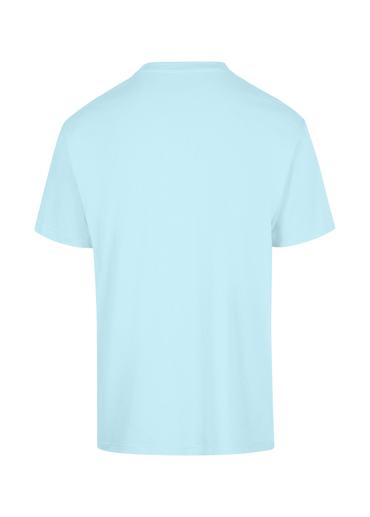Men's Regular T-shirt Aqua